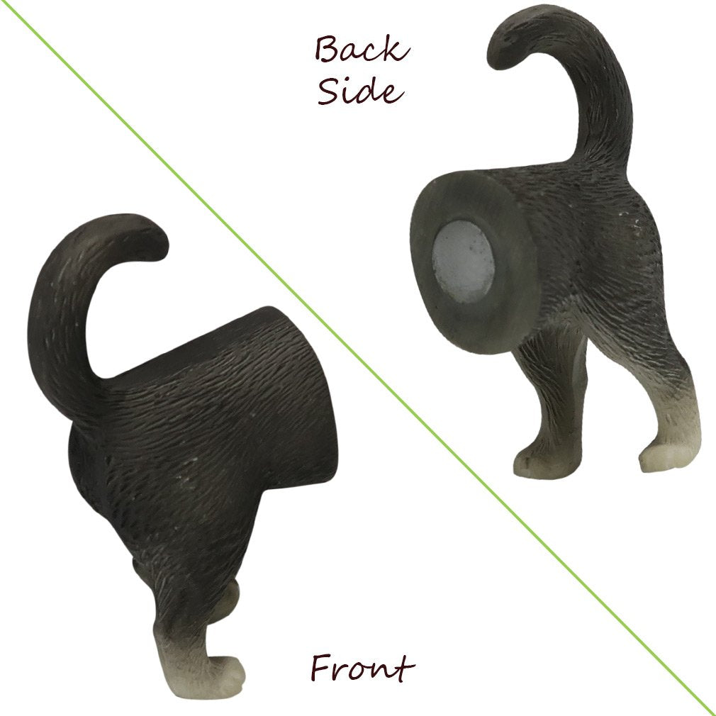Evelots cat butt magnet on whiteboard holding reminders