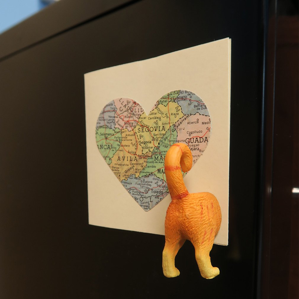 Close-up of Evelots poly-resin cat butt magnet with glossy finish