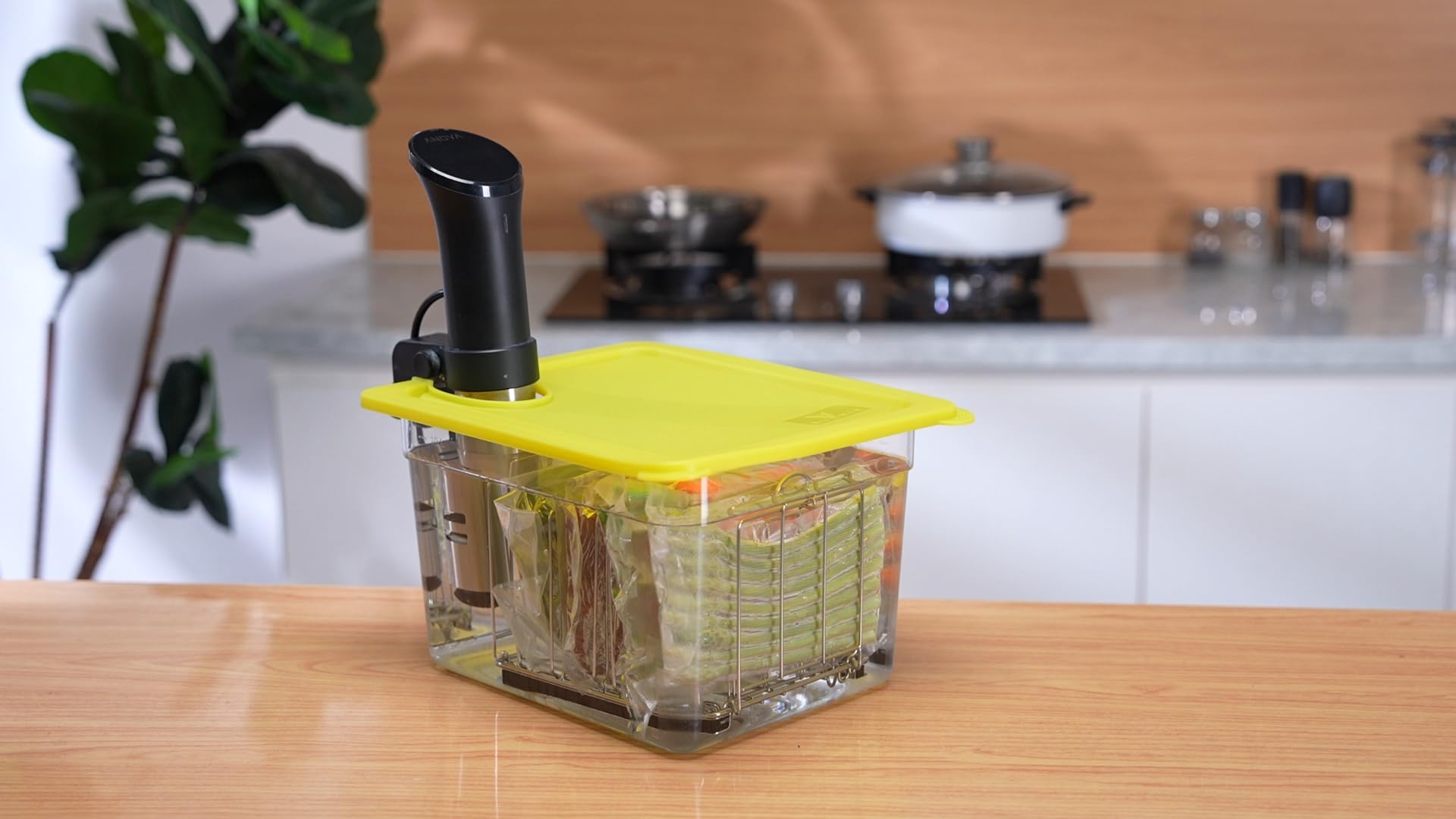 EVERIE complete kit for compatible sous vide setups with popular cookers.