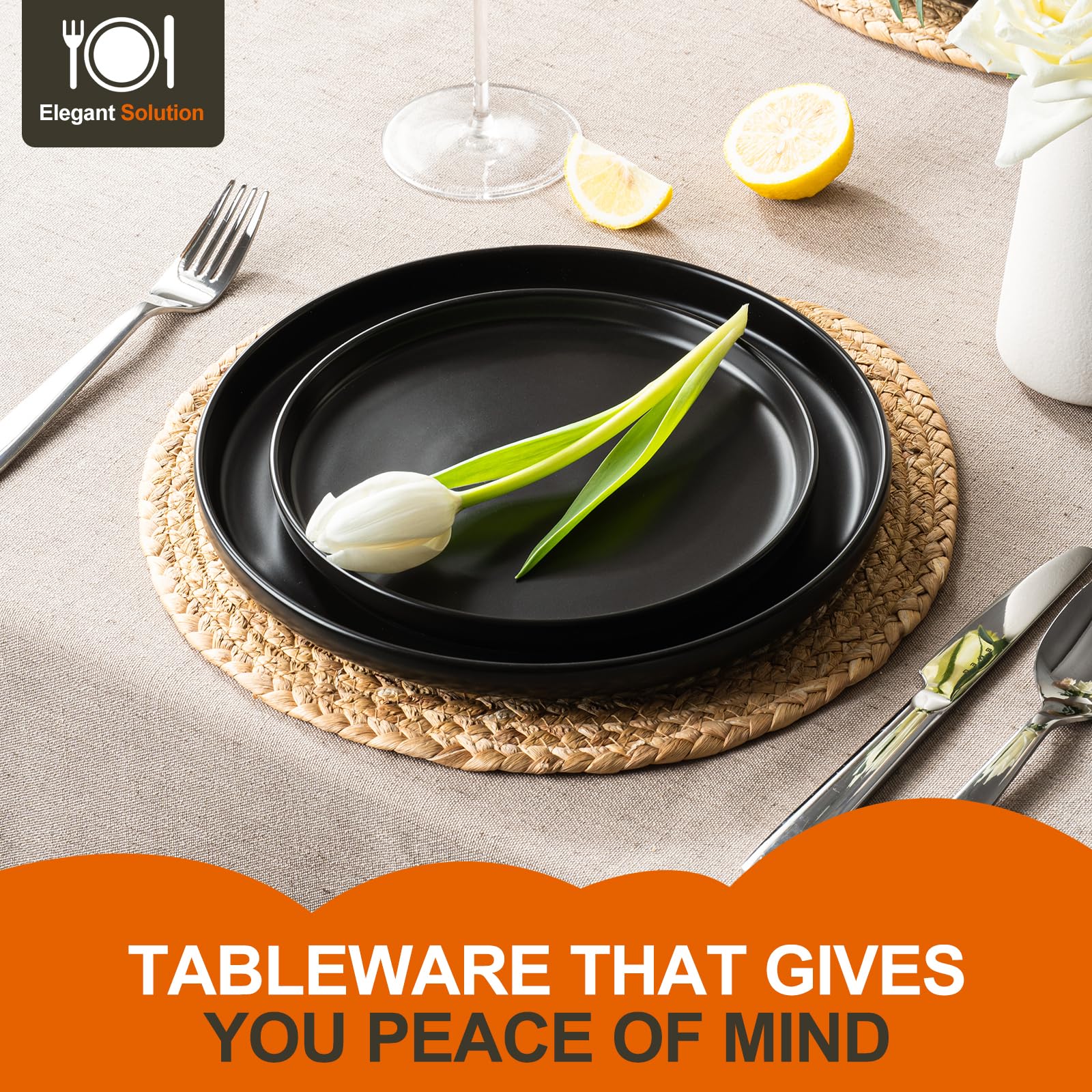 EWFEN 10.25-inch dinner plates featured in matte black finish for an elevated dining look