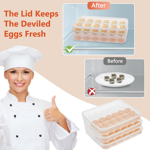 Faculx clear egg platter for gatherings and picnics