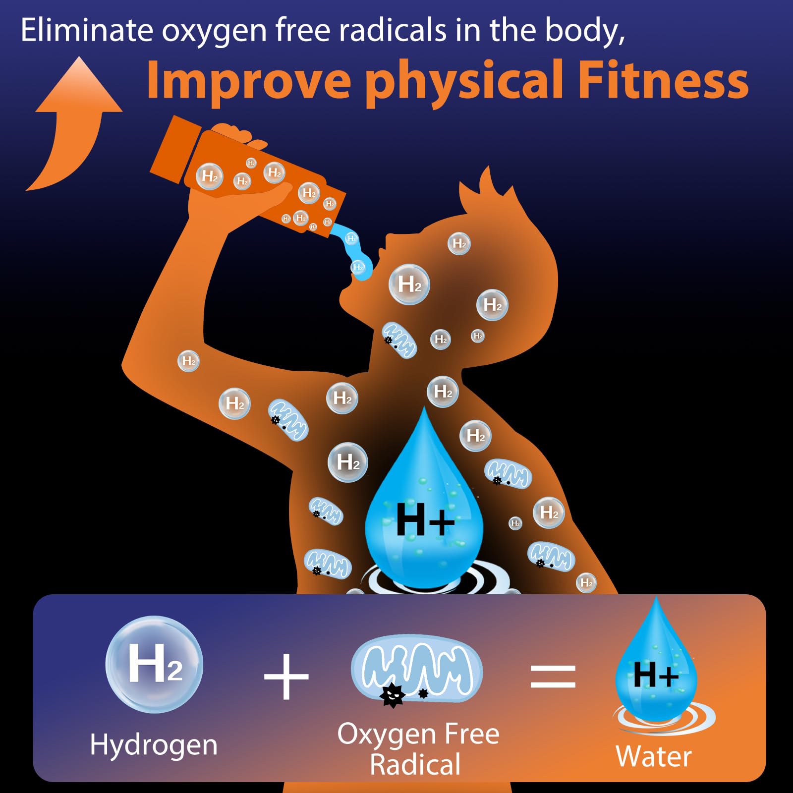 Fakllod hydrogen water bottle glass body reveals clear, hydrogen-rich water at home or office.