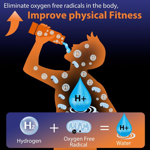 Fakllod hydrogen water bottle glass body reveals clear, hydrogen-rich water at home or office.