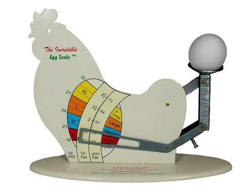 Fall Harvest The Incredible Egg Scale product shot highlighting vintage steel design for precise tiny egg weighing