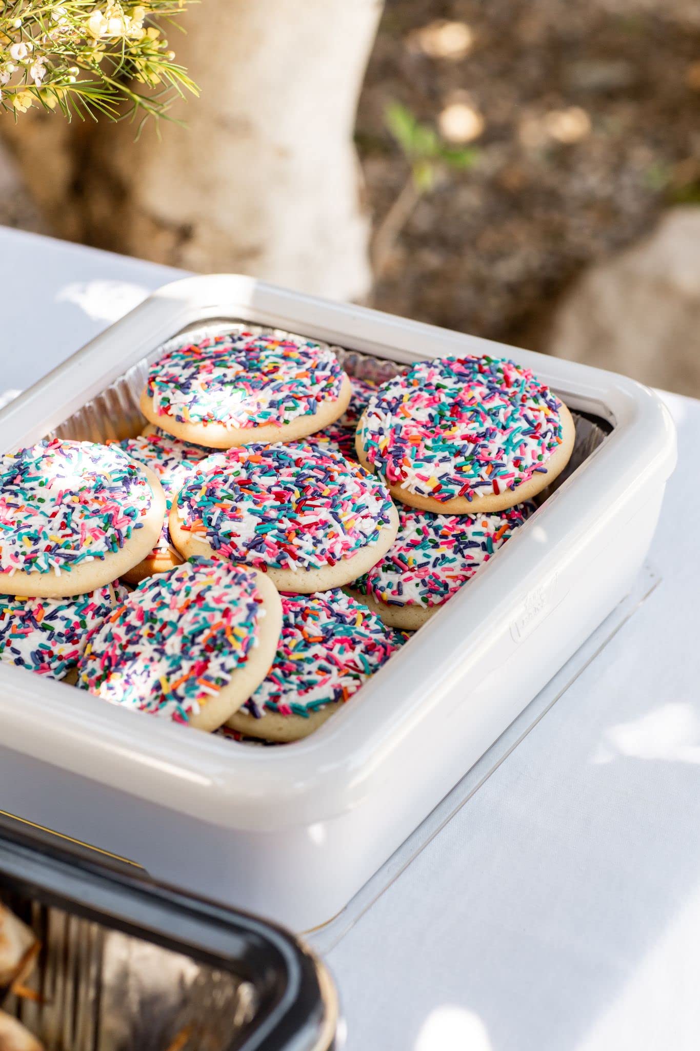 Fancy Panz open frame showcases a sturdy serving tray at a casual potluck.