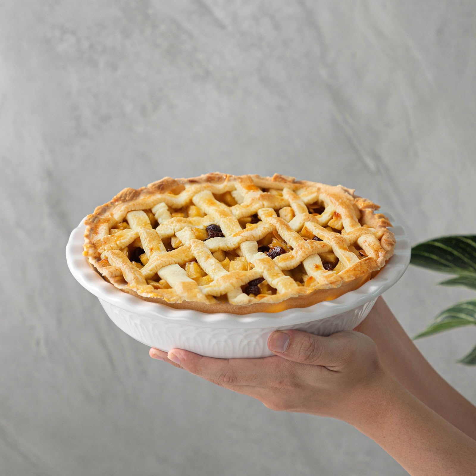 FE FUN ELEMENTS baking pan ideal for apple pie or pot pies