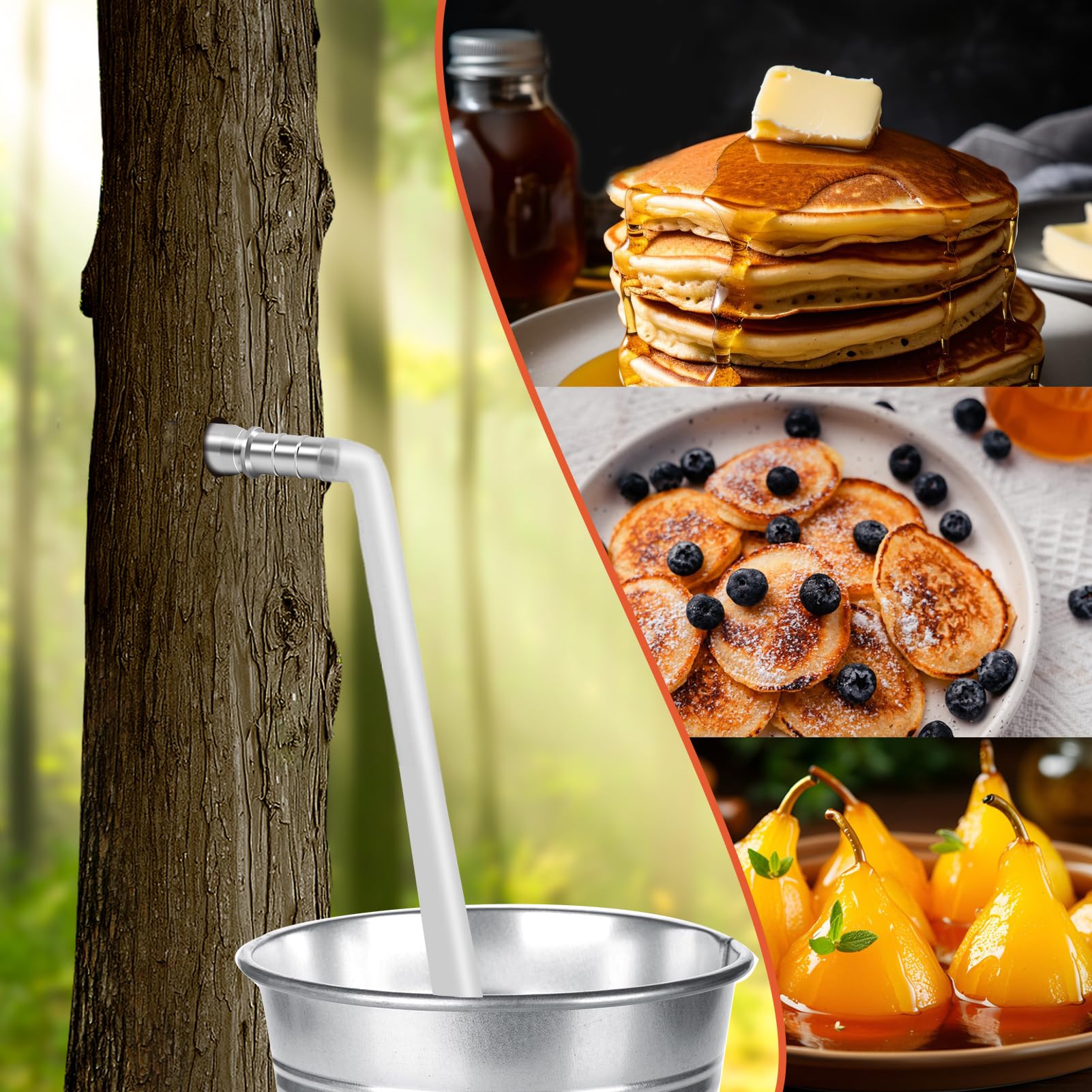 Feoang packaging compact and gift-ready for maple enthusiasts