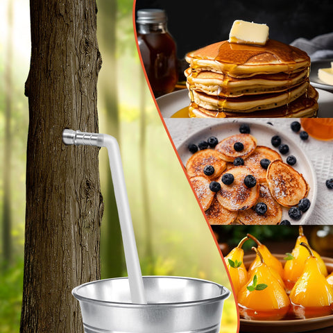 Feoang packaging compact and gift-ready for maple enthusiasts