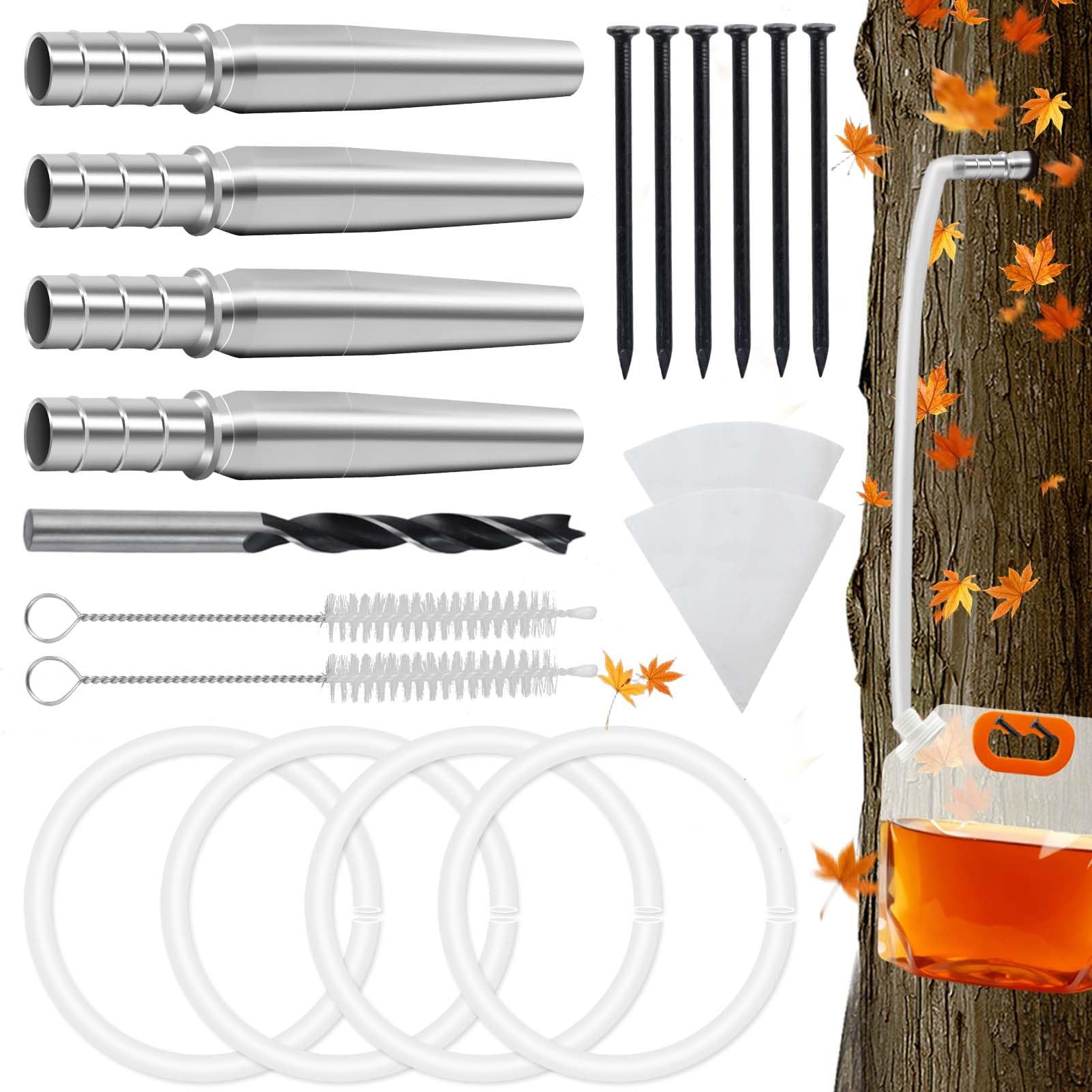 Feoang maple tapping kit taps mounted on a tree for sap collection