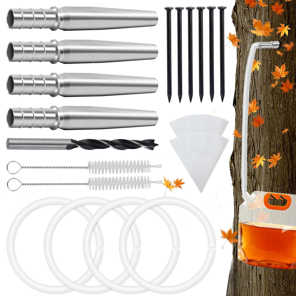 Feoang maple tapping kit taps mounted on a tree for sap collection