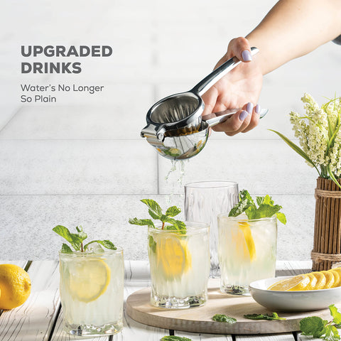 FineDine lemon squeezer with seed filter keeps pulp out.