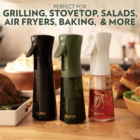 Outdoor-ready FLAIROSOL sprayer with leakproof portability for grilling and picnics.