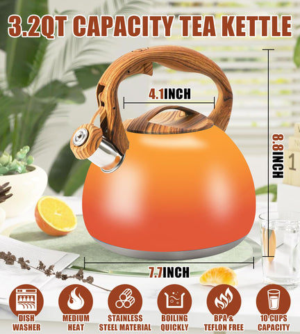 Foedo 3.2-quart capacity kettle for family tea time