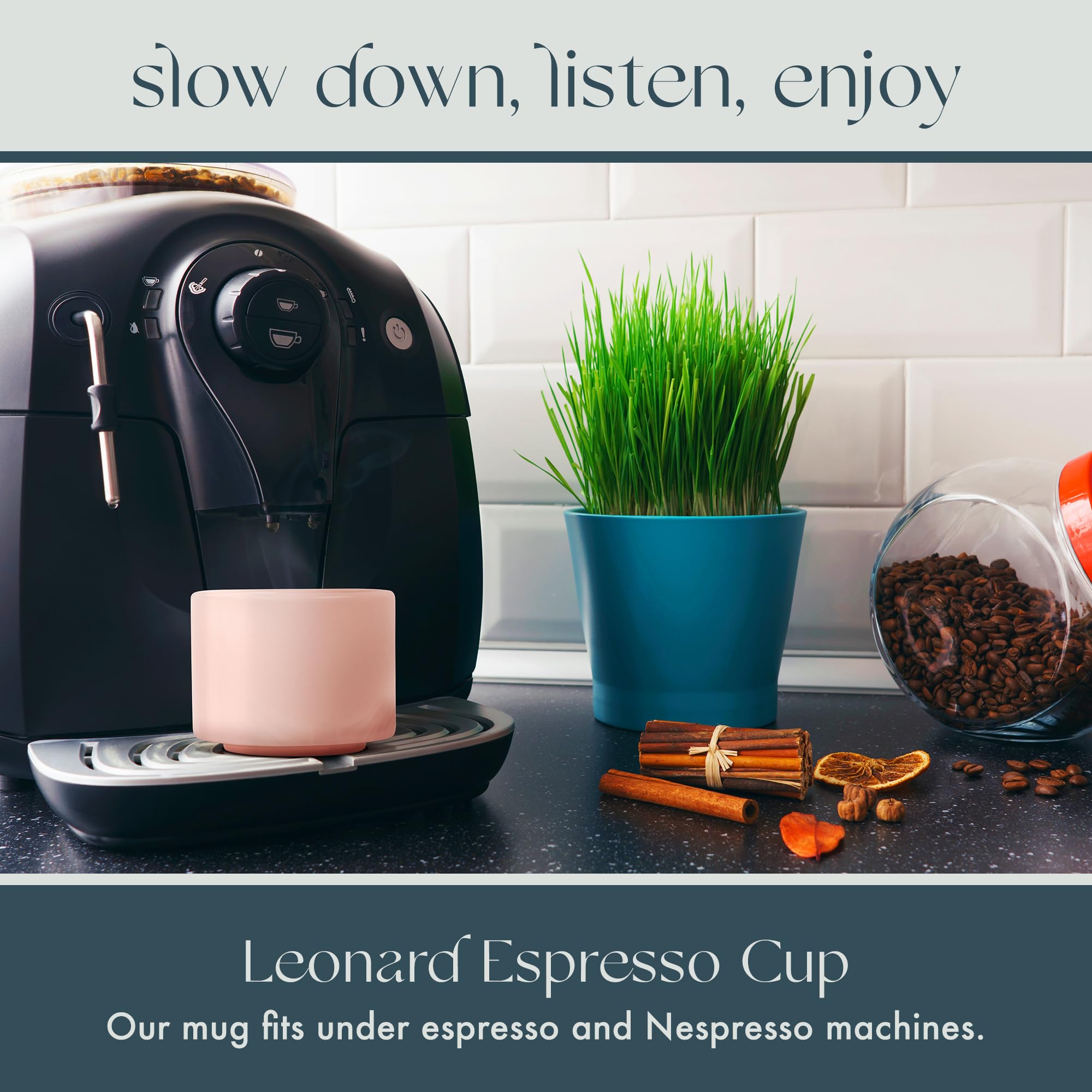 Dishwasher-safe Leonard cup safe on top rack with gentle care