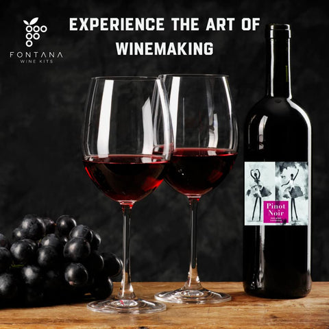 Fontana Pinot Noir fermentation setup—clear steps guide your DIY wine.