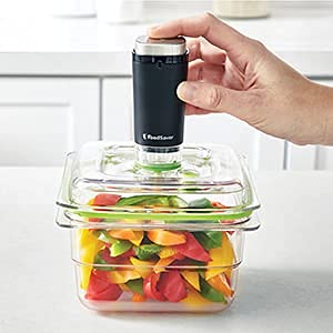 FoodSaver FS1120 cordless sealer enabling sealing on the go.