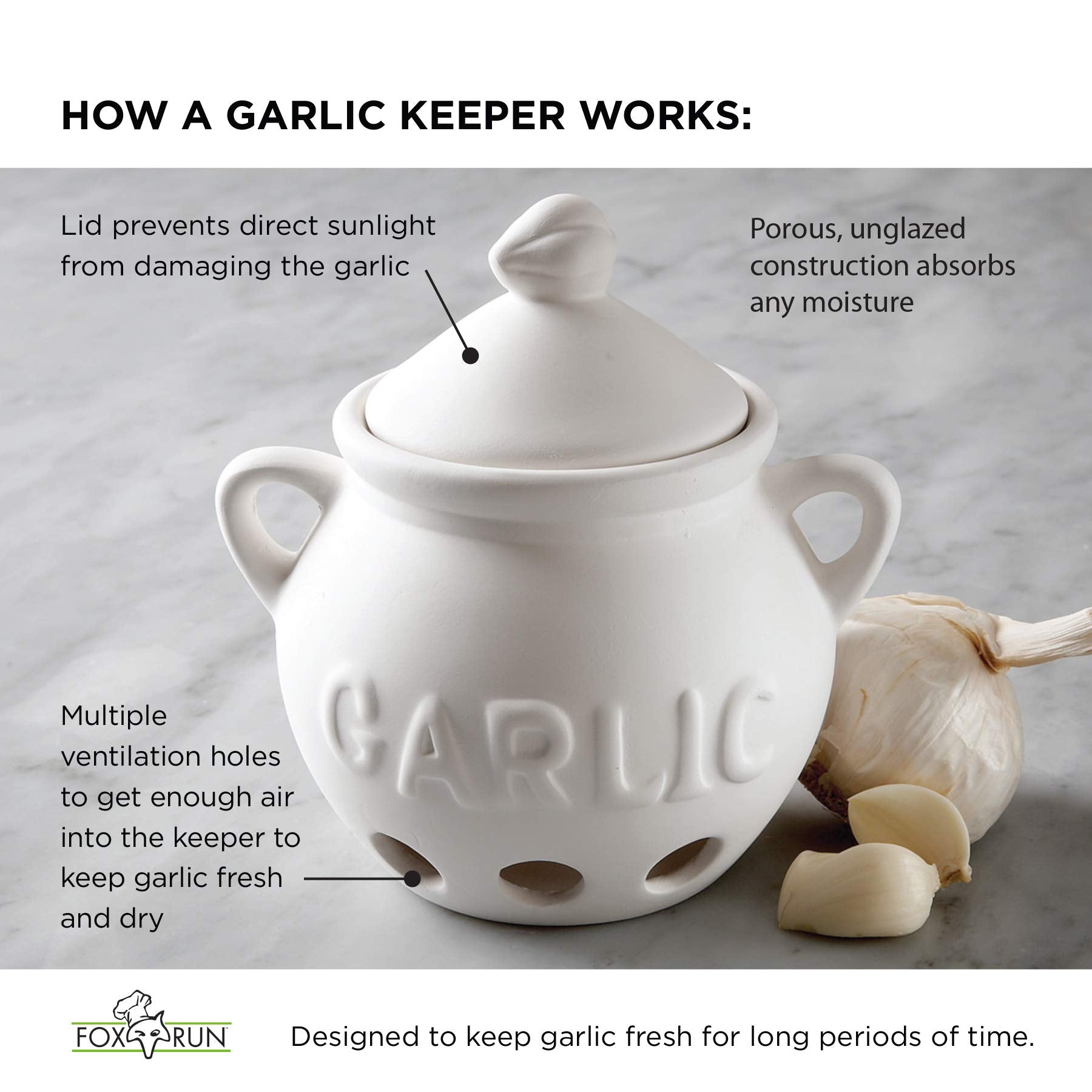 Fox Run garlic keeper lid blocks light to extend shelf life.