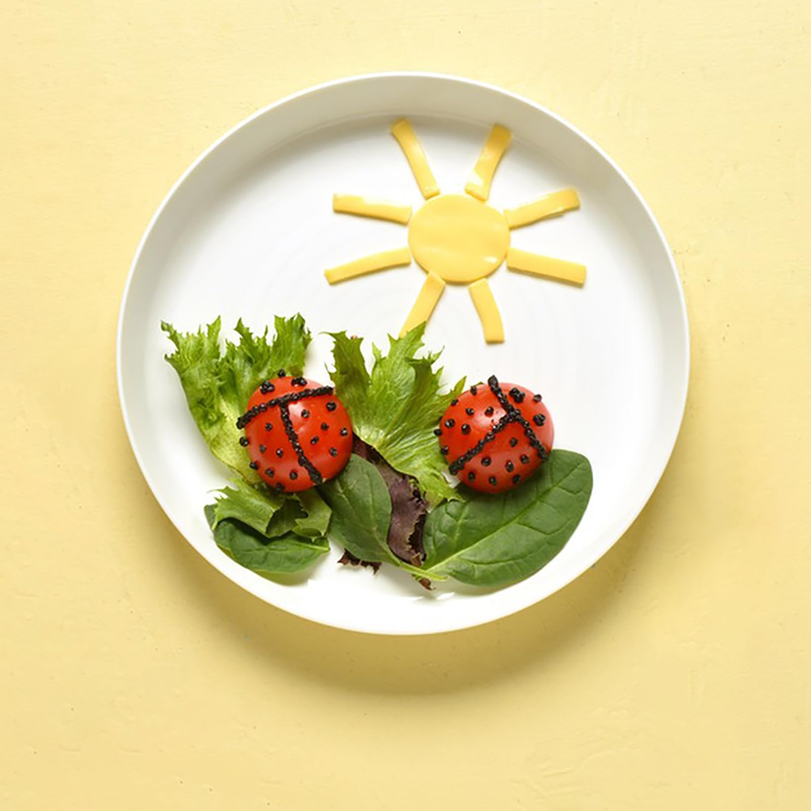 Frcctre 8-color rainbow plates offer fun dining while staying sturdy.