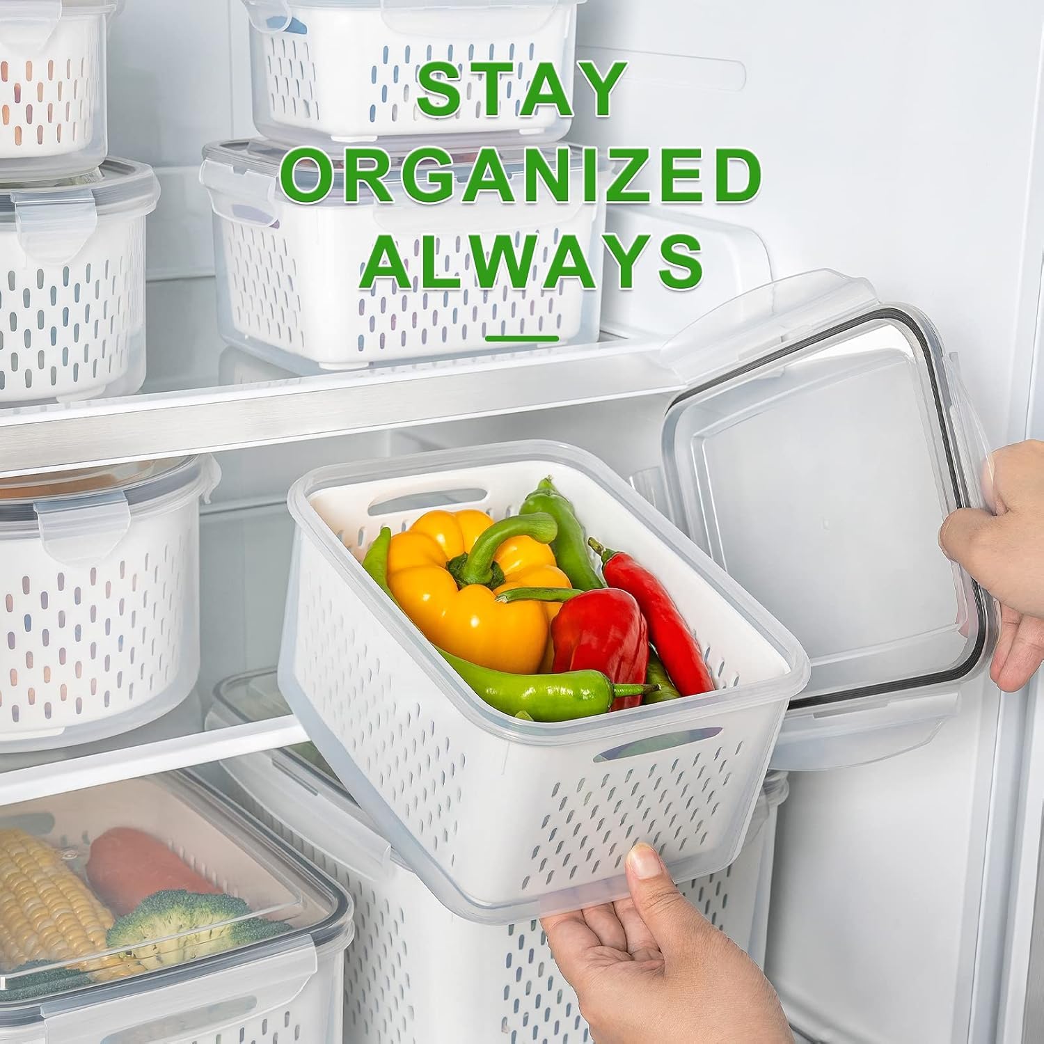 Freshmage BPA-free food-grade PP materials ensure safe everyday use.