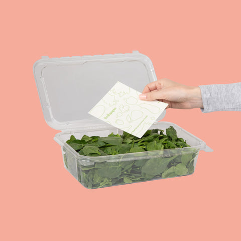 FRESHPAPER sheets can be cut to fit small containers.
