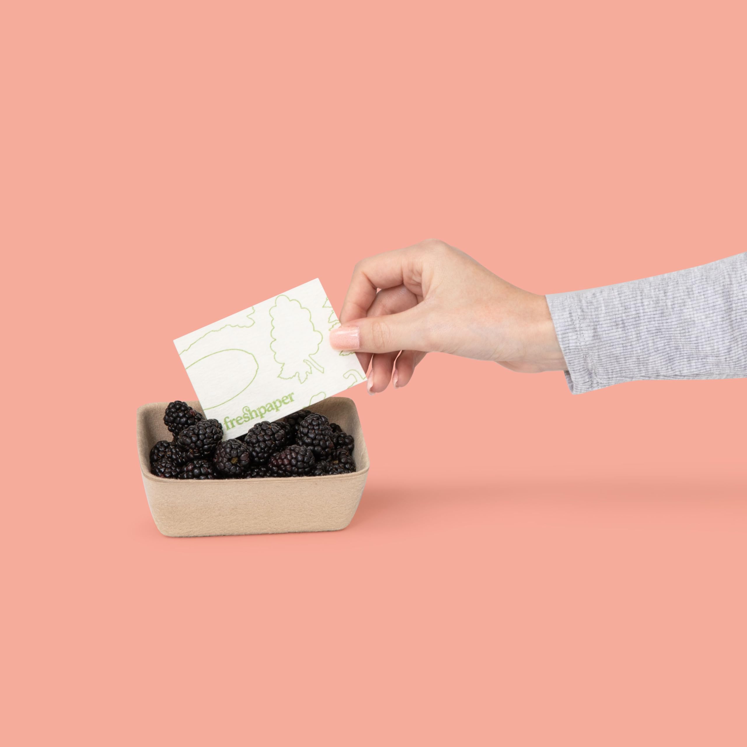 FRESHPAPER sheets in a Tupperware container reduce spoilage.
