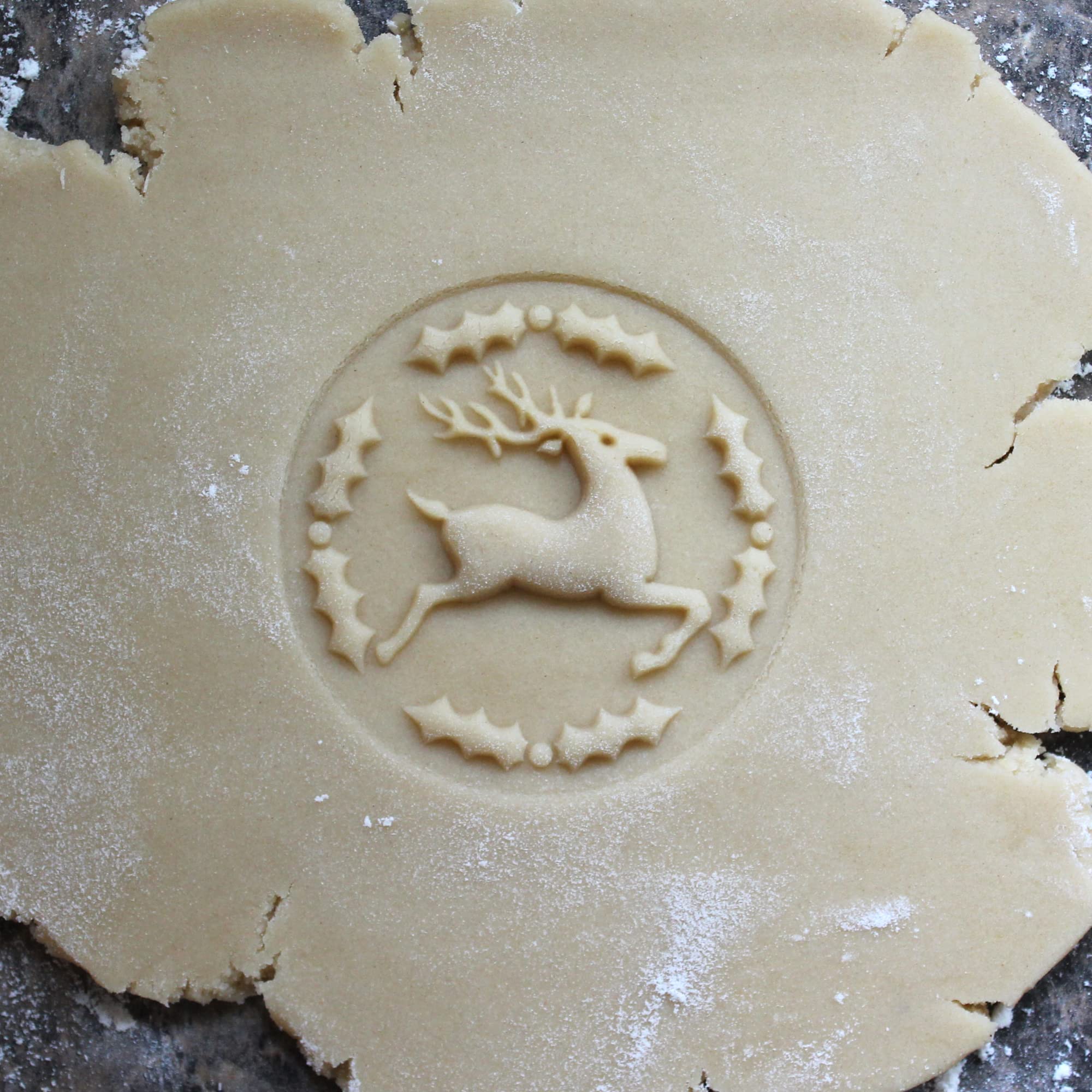 Close-up of dough impression from Fun Food Tools stamp for gingerbread and shortbread.