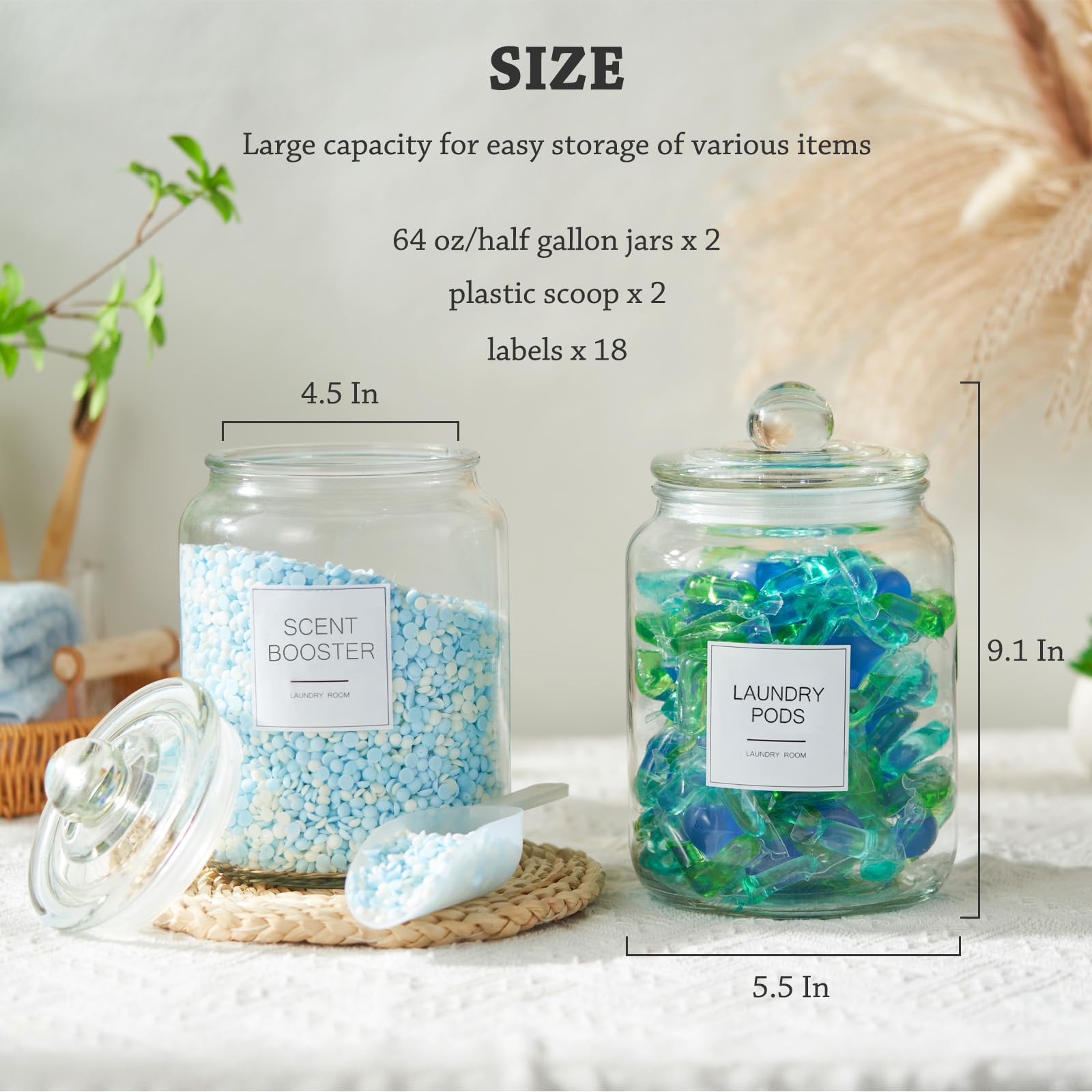 FyndraX versatile jars store pods, detergent powder, and beads.