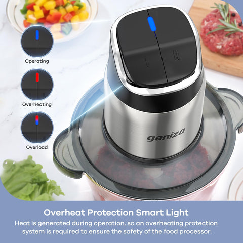 Ganiza food processor dual bowls highlight glass and stainless options for different tasks.