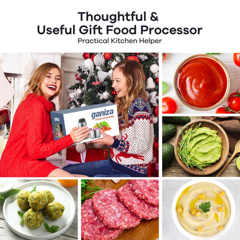 Ganiza food processor meat chopper attachment for minced meat and more.