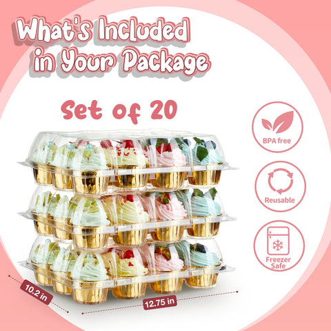 Gencywe food-grade PET plastic; safe, durable containers for cupcakes and muffins.