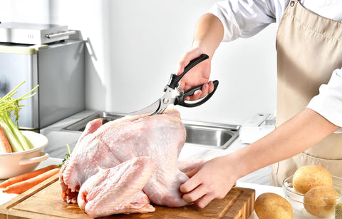Gerior shears with ergonomic handle demonstrating safe operation and grip