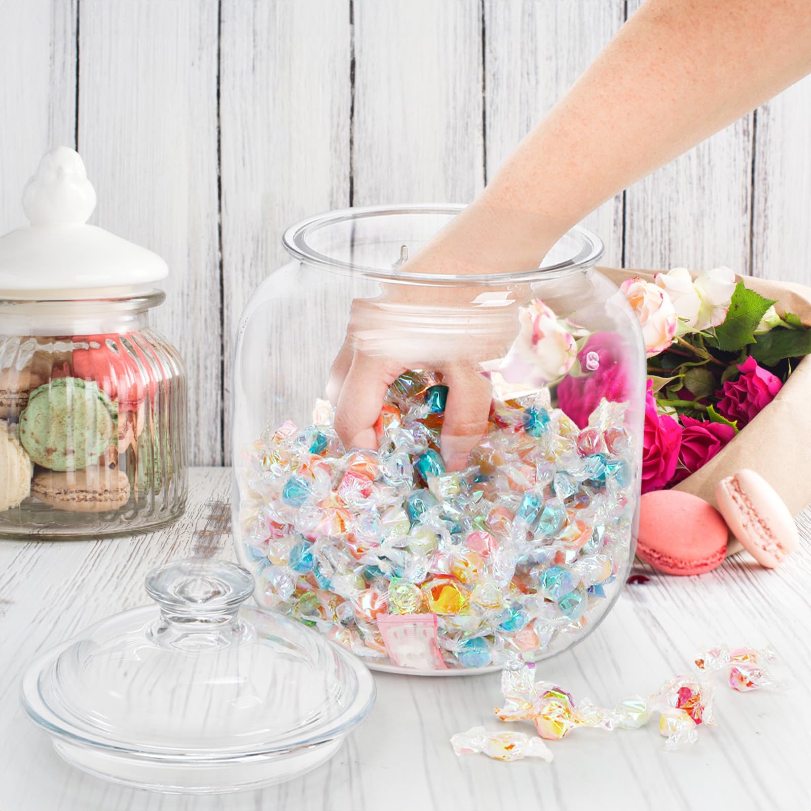 Goaste transparent design enhances pantry organization with a modern kitchen aesthetic.