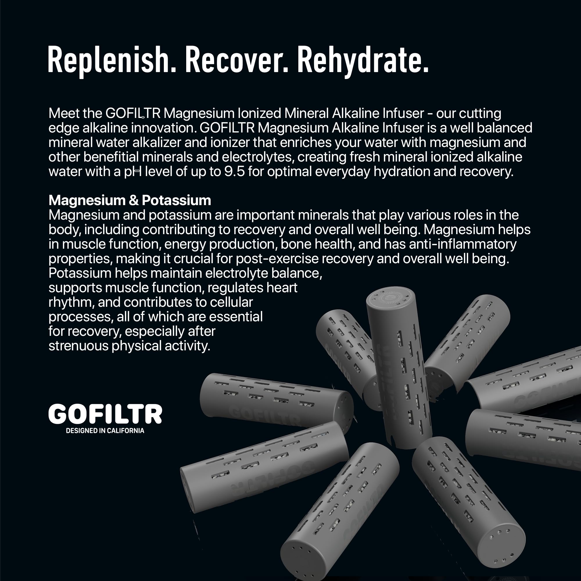 GOFILTR infuser in stainless bottle emphasizes durable, everyday use.