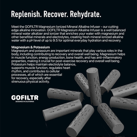 GOFILTR infuser in stainless bottle emphasizes durable, everyday use.