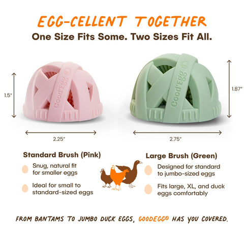 GoodEgg The Original Egg Brush hollow center drains water quickly after washing.