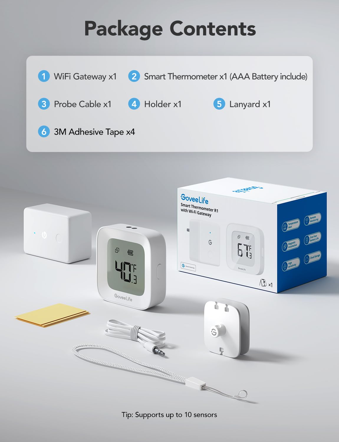 GoveeLife 2-year data export saves historical temperature records.