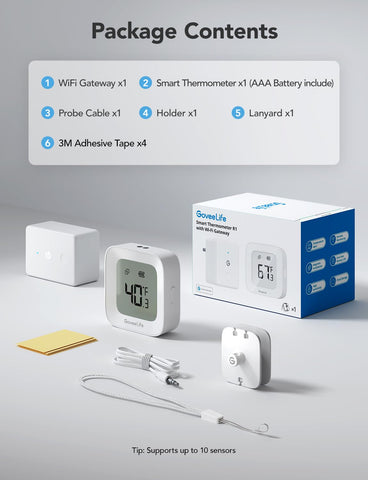 GoveeLife 2-year data export saves historical temperature records.