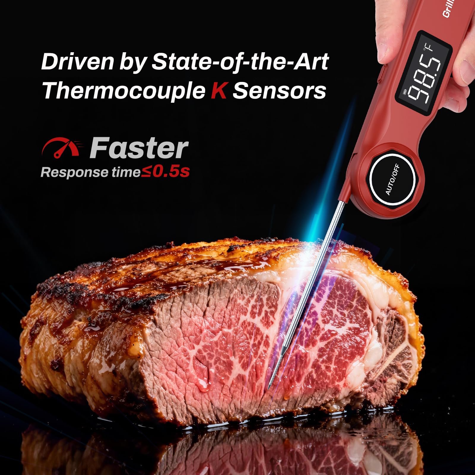 GrillBliss K-type sensor close-up for precise temperature capture