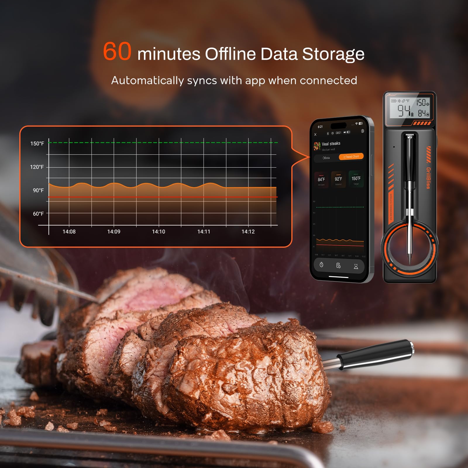 GrillBliss offline data storage syncs with app after cooking ends