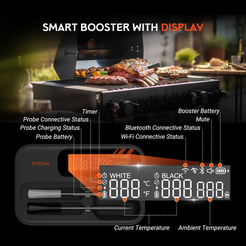 GrillBliss dual probes enable simultaneous food and environment tracking