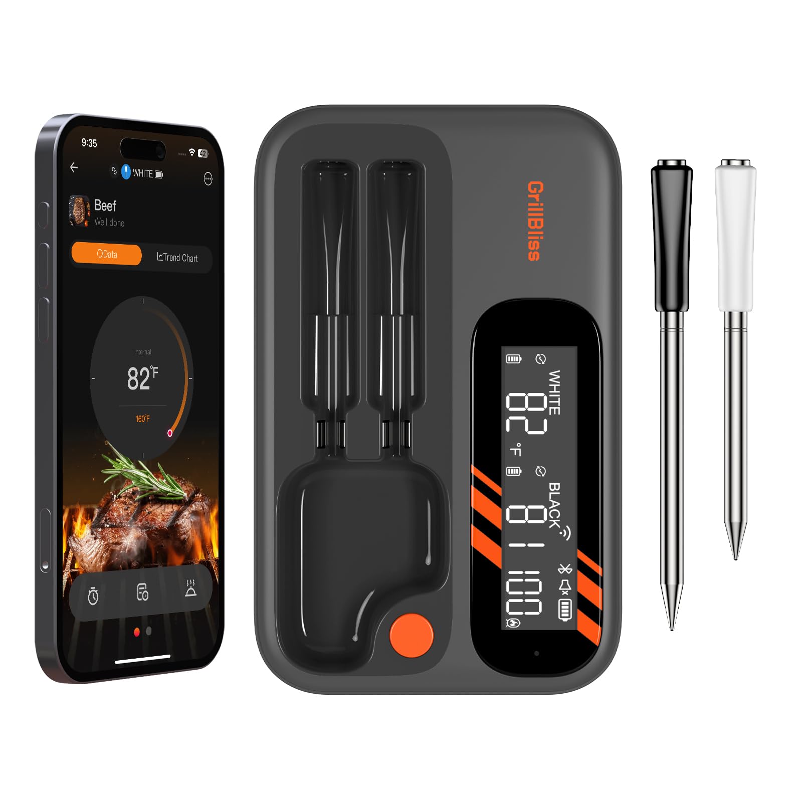 GrillBliss wireless meat thermometer setup for precise grilling control