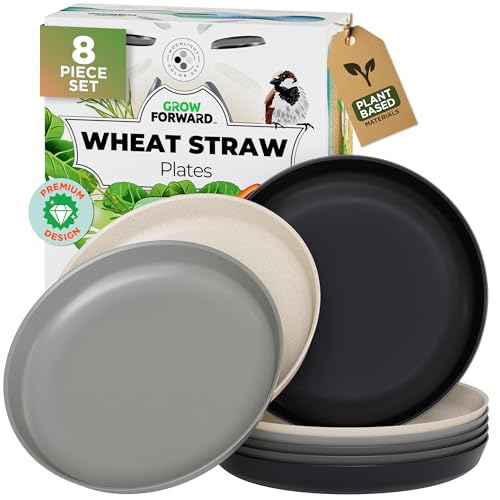 Grow Forward Moonlight 10-inch plates offer durable daily dining.