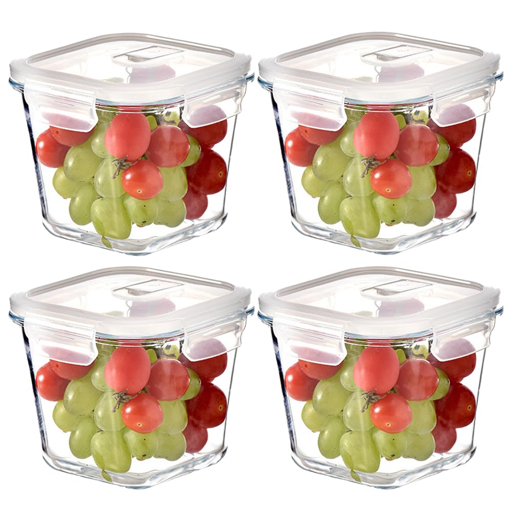 H.JSS WDJS 4 Cup Square Glass Container with lid for fresh leftovers.