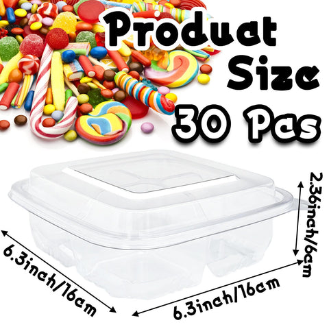 Haawooky four-compartment bento box clear view for organized meals