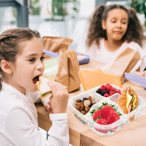 Haawooky travel-friendly snack containers ready for trips