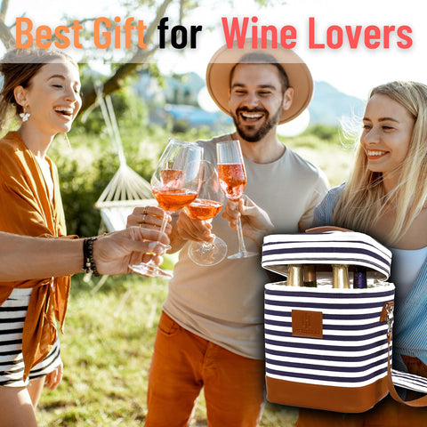 HAMILO wine bag in action at picnic or beach, versatile transport