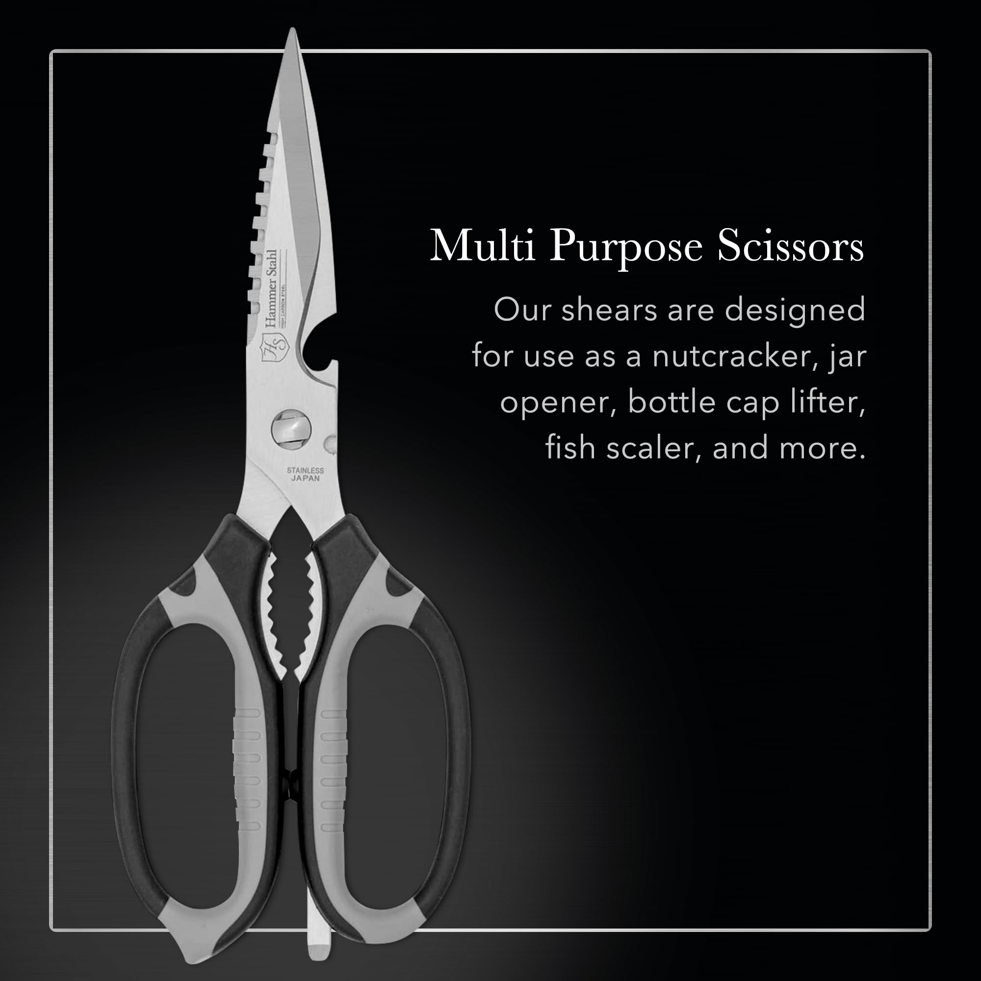 Hammer Stahl kitchen shears disassemble for thorough cleaning and maintenance