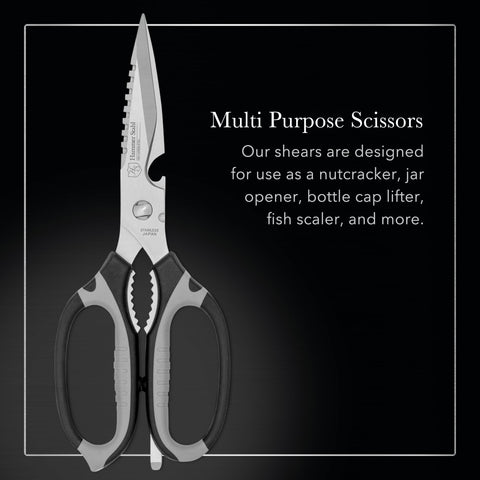 Hammer Stahl kitchen shears disassemble for thorough cleaning and maintenance