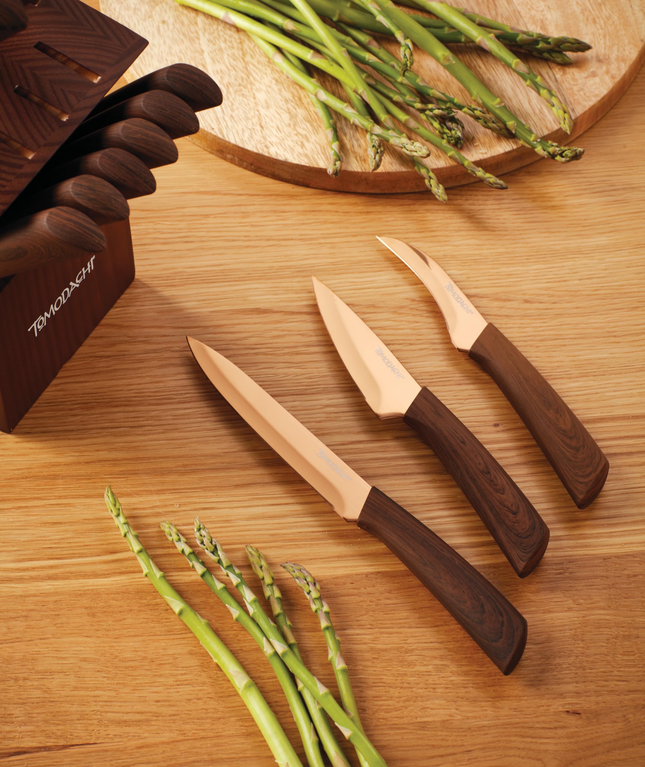 Hampton Forge Raintree Copper 13-Piece Block Set complete kitchen kit for versatile cooking