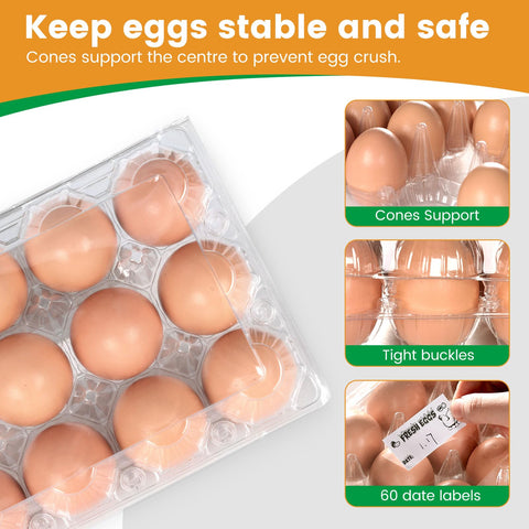 HANSGO compact 3x4 egg carton fits small to medium eggs securely.